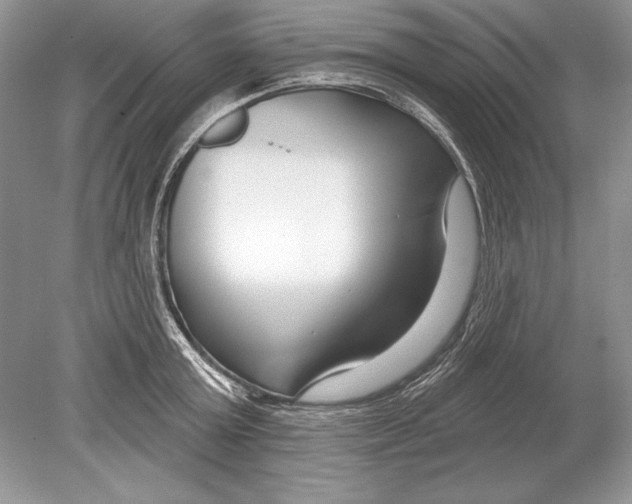 X0000078890803200612111804