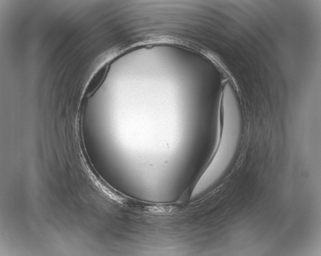 X0000078890805200612111804