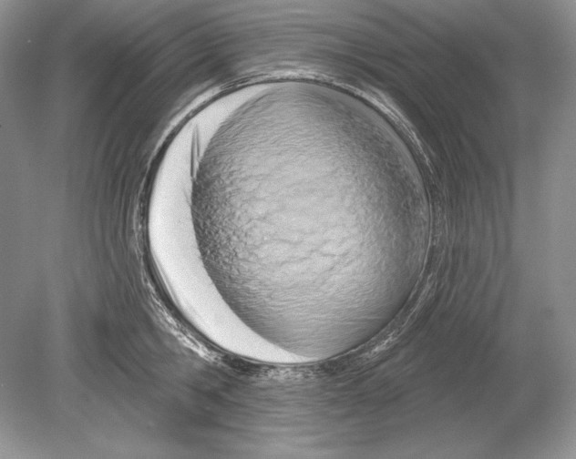 X0000078890806200612111804