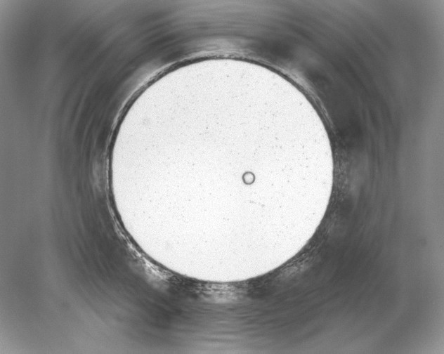 X0000078890807200612111804