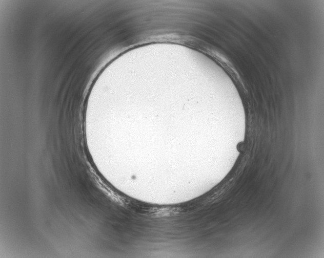 X0000078890808200612111804