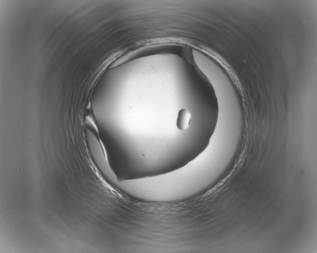 X0000078890809200612111804