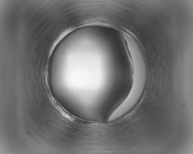 X0000078890812200612111804