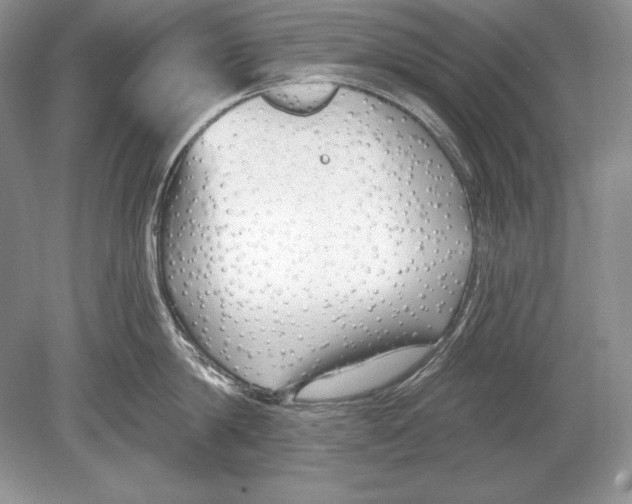 X0000078890814200612111803