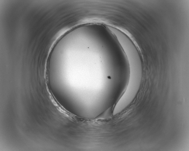 X0000078890815200612111803