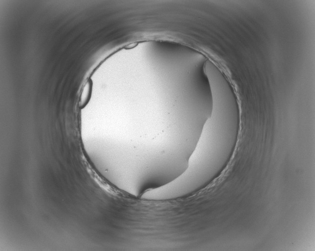 X0000078890816200612111803