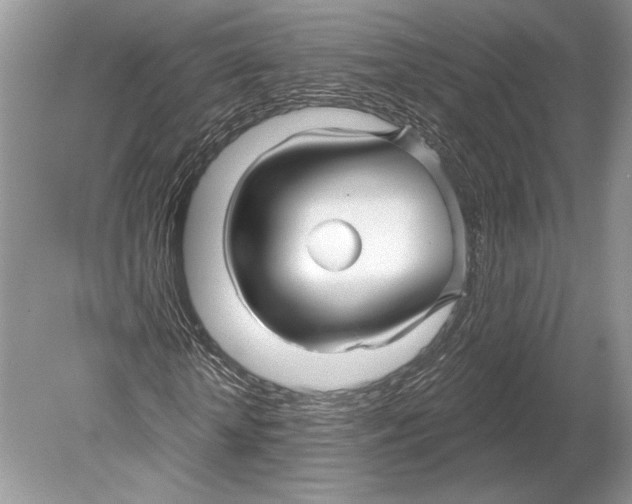 X0000078890818200612111803