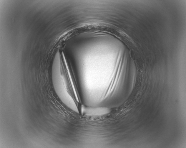 X0000078890822200612111803