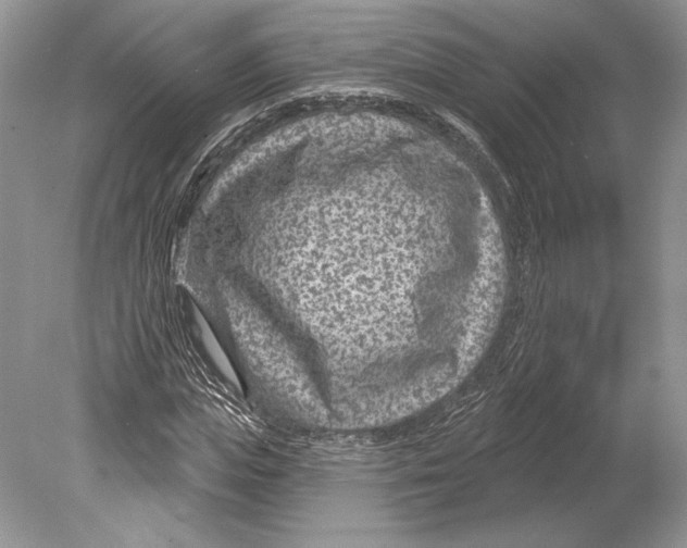 X0000078890823200612111803