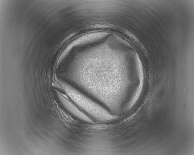 X0000078890825200612111803