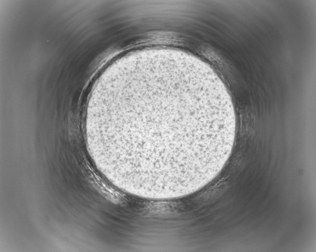 X0000078890828200612111803