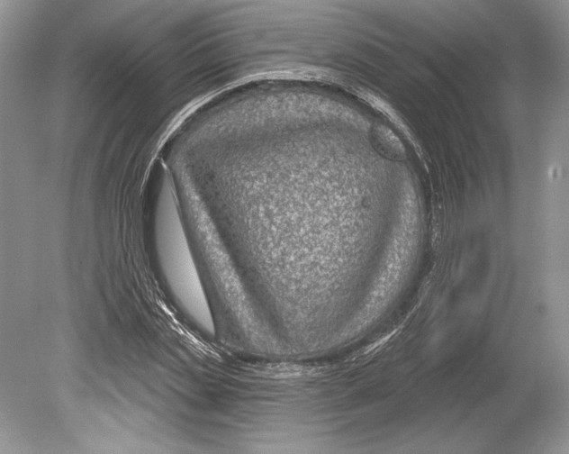 X0000078890829200612111803