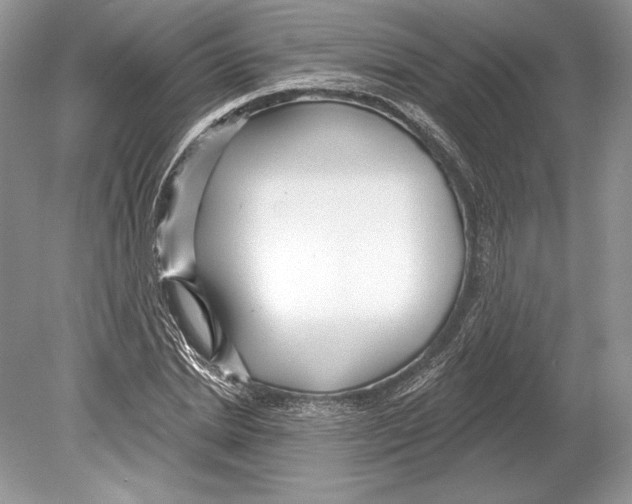 X0000078890830200612111803