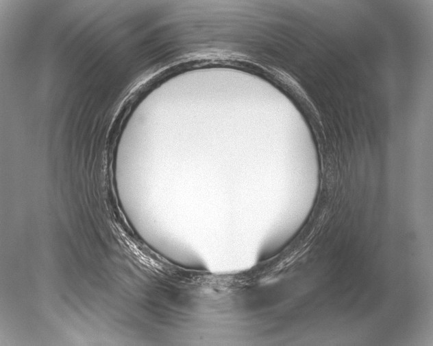 X0000078890831200612111803