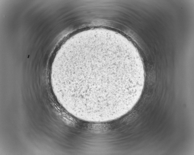 X0000078890832200612111803