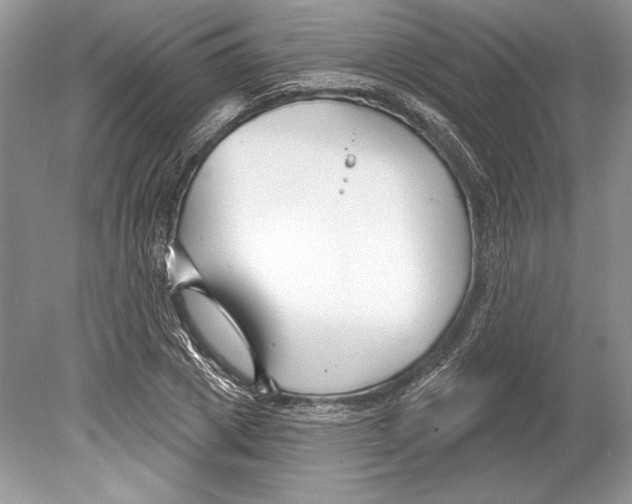 X0000078890833200612111803