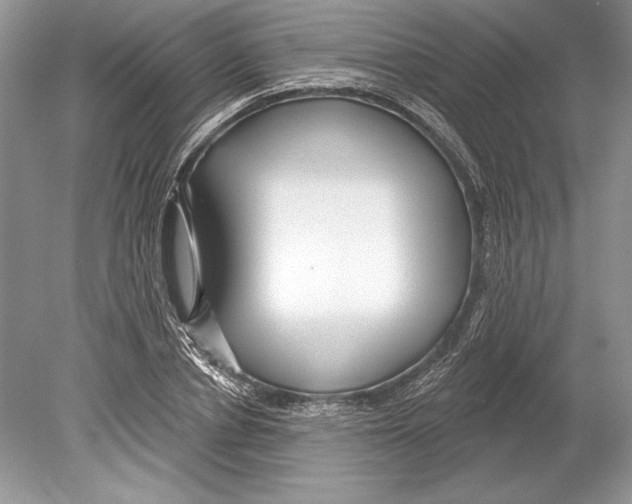 X0000078890834200612111803