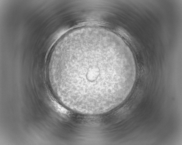 X0000078890836200612111803