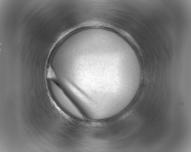 X0000078890839200612111803