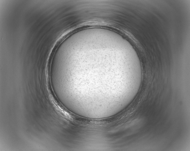 X0000078890840200612111803