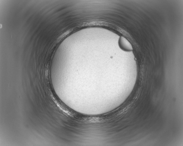 X0000078890841200612111803