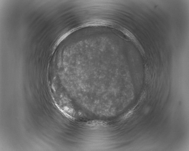 X0000078890842200612111803