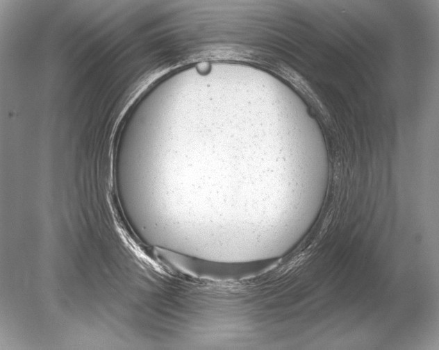 X0000078890844200612111803