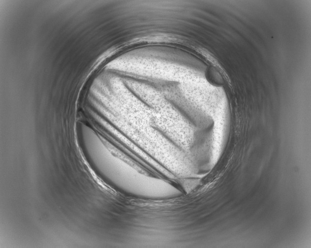 X0000078890845200612111803