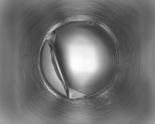 X0000078890850200612111803