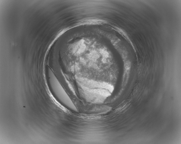 X0000078890851200612111803