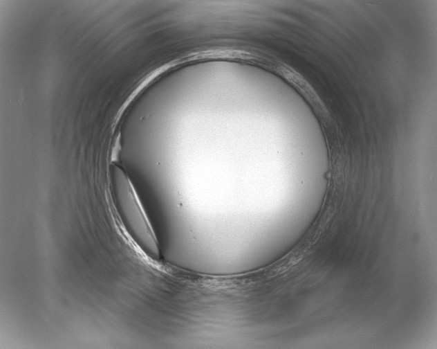 X0000078890852200612111803