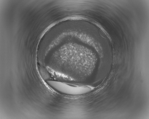 X0000078890853200612111803