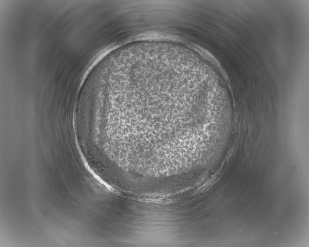 X0000078890855200612111803