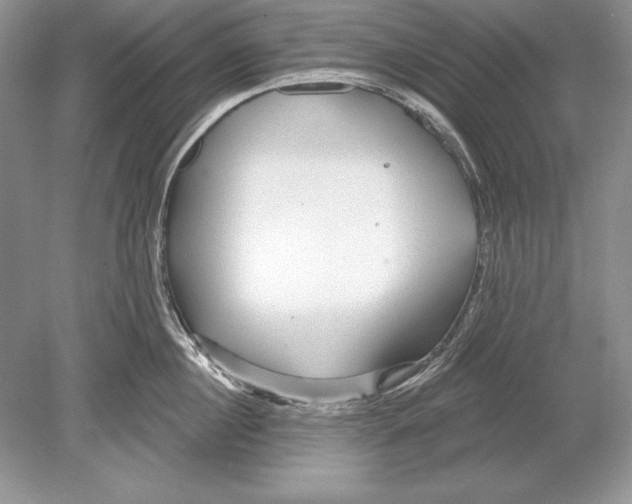 X0000078890860200612111803