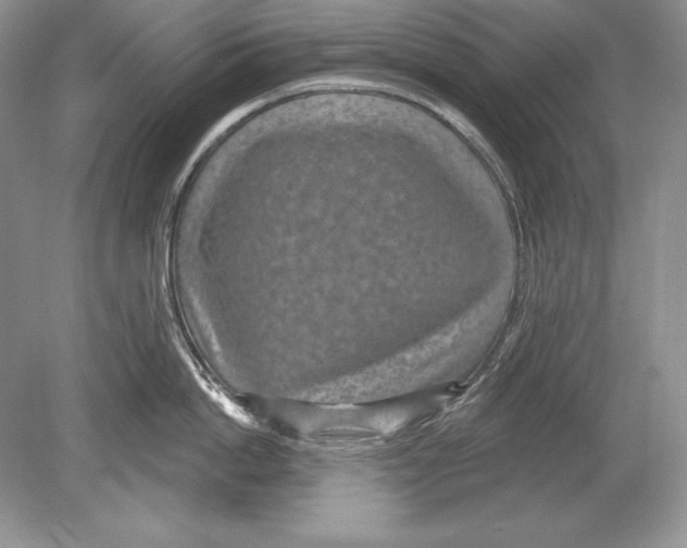 X0000078890862200612111803