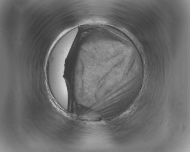 X0000078890864200612111803