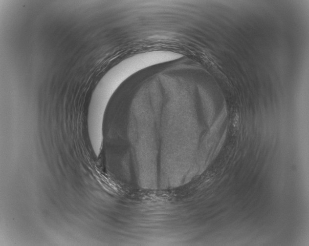 X0000078890868200612111803