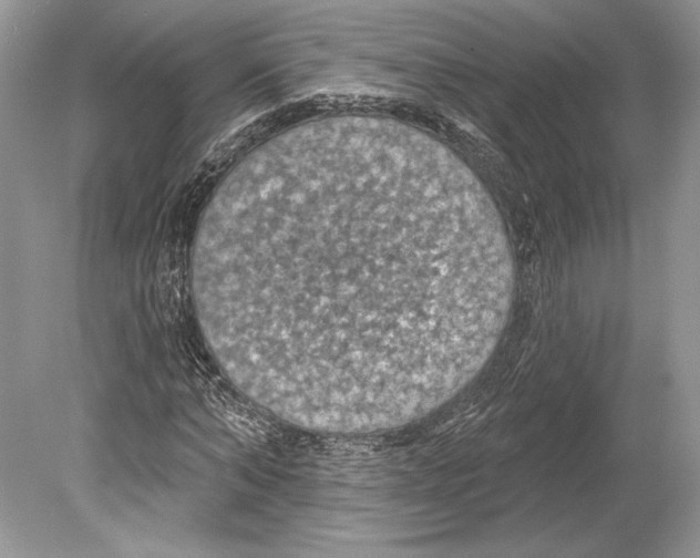 X0000078890870200612111803