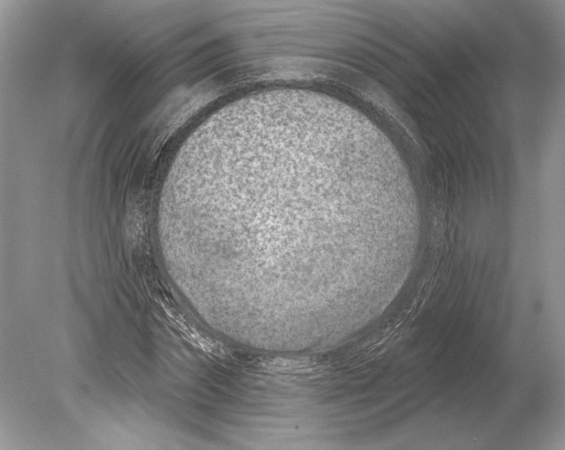 X0000078890874200612111802