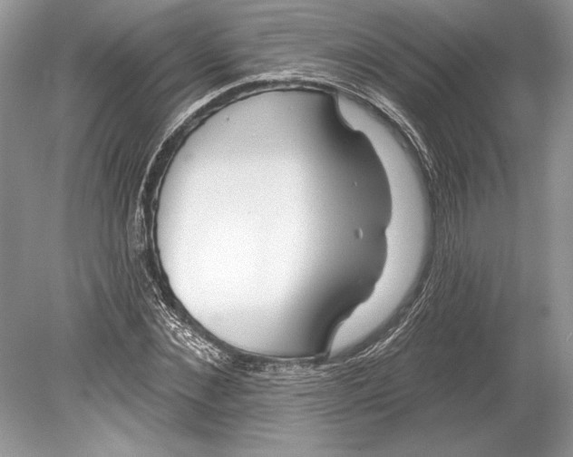 X0000078890876200612111802