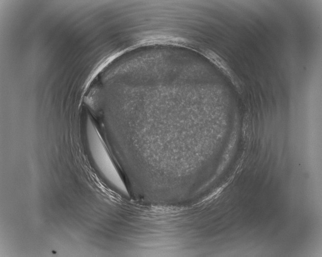 X0000078890877200612111802