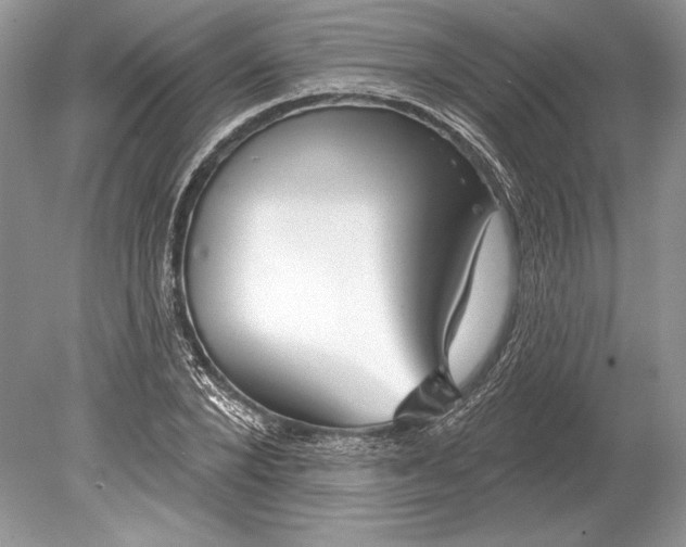 X0000078890880200612111802