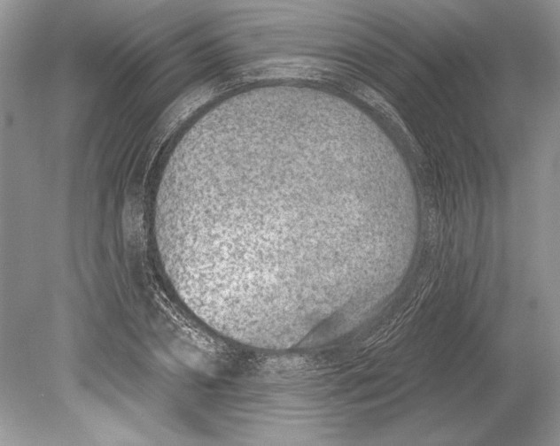 X0000078890882200612111802