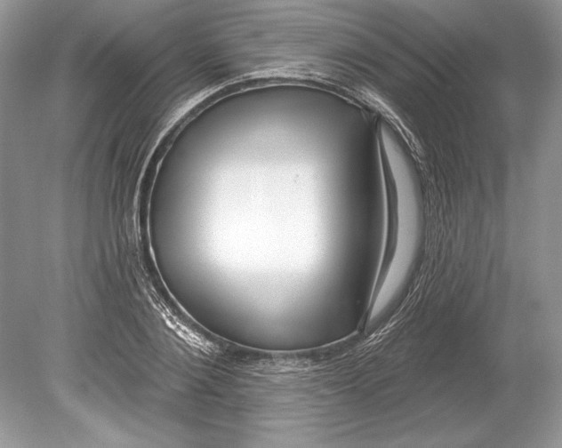 X0000078890884200612111802