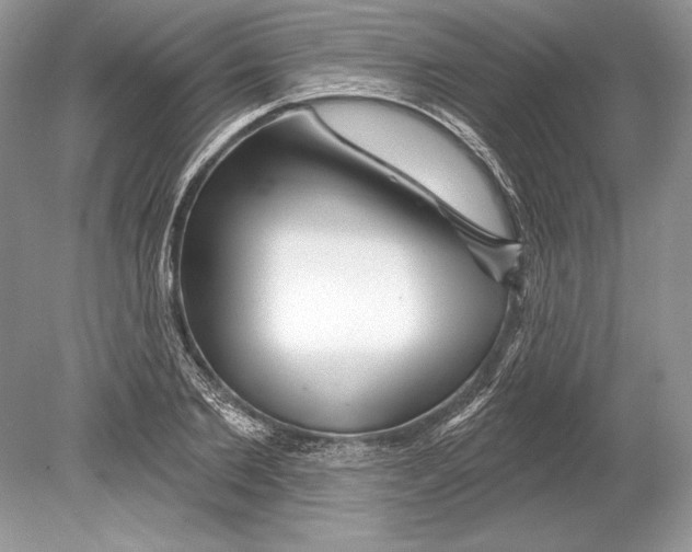 X0000078890885200612111802