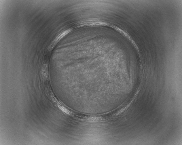 X0000078890889200612111802