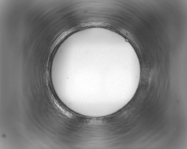 X0000078890890200612111802