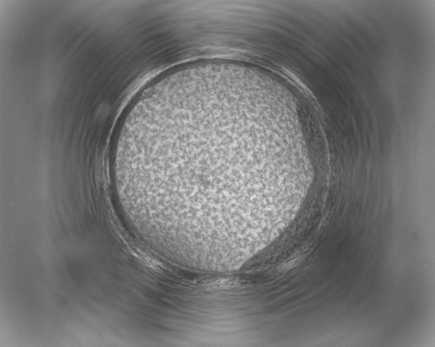 X0000078890891200612111802