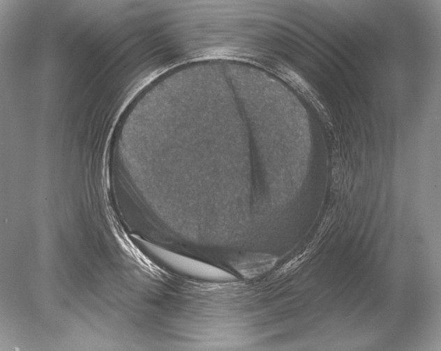 X0000078890892200612111802