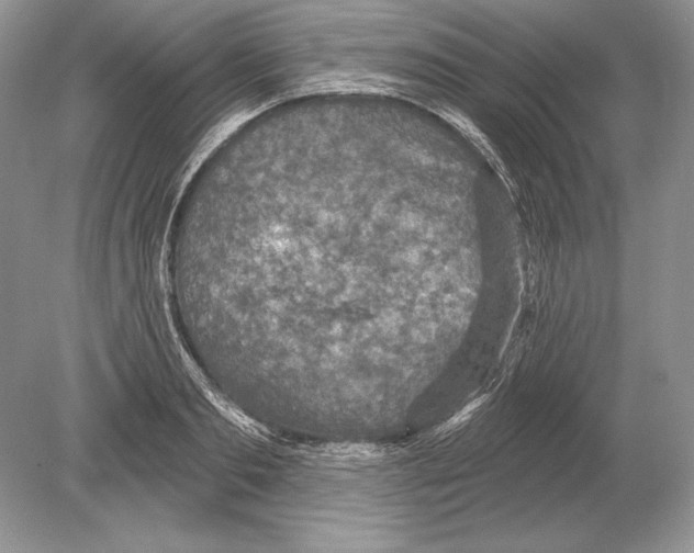 X0000078890893200612111802